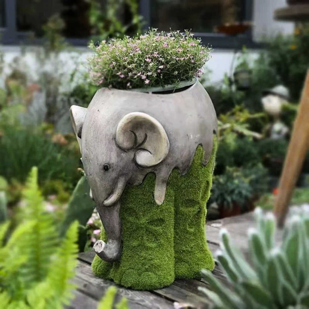 Elephant Succulent Planter