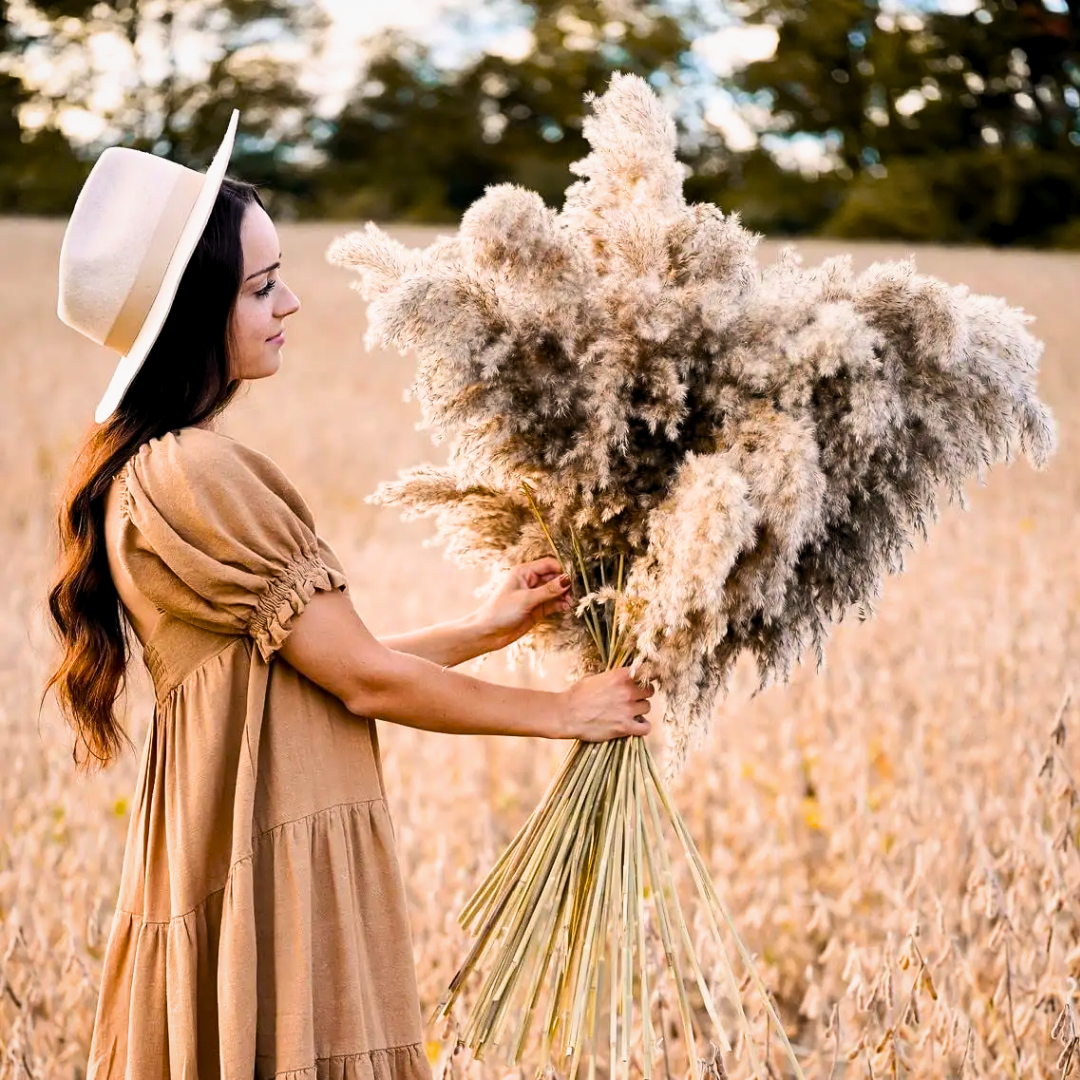 Tierra Luna Pampas Grass